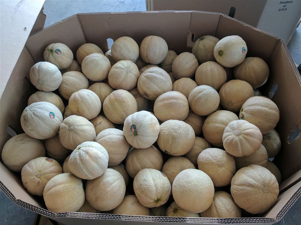 Carton of fresh cantaloupes